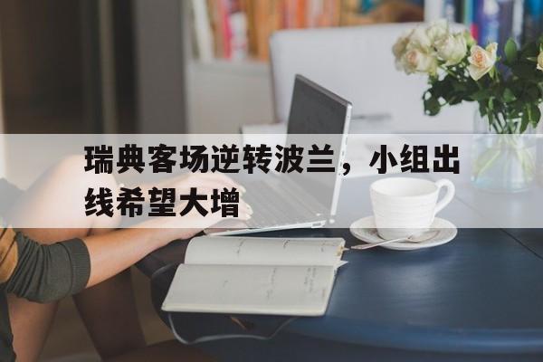 乐鱼体育游戏-瑞典客场逆转波兰，小组出线希望大增