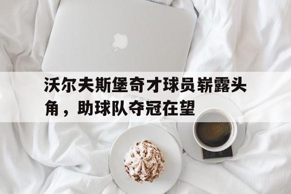 乐鱼体育全站-沃尔夫斯堡奇才球员崭露头角，助球队夺冠在望